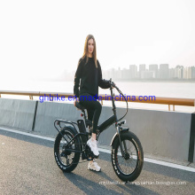 Lithium Battery Bafang 1000 Watt 48V Full Suspension 20" Folding Fat Tire Electric Bikes